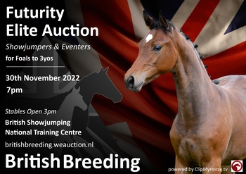 British Breeding Futurity Elite Auction 2022 for Showjumpers and Eventers British Breeding Futurity Elite Auction 2022 for Showjumpers and Eventers
